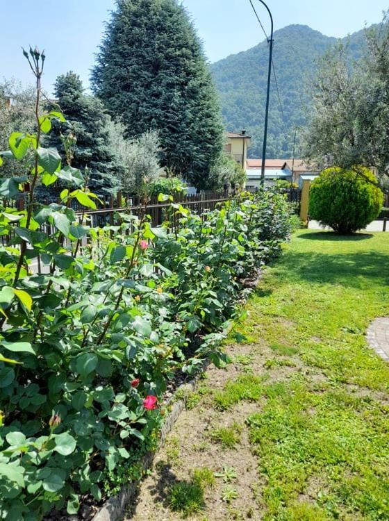 Fontana Fiorita Appartement *
